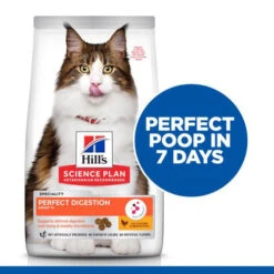 Hill's Science Plan Adult Perfect Digestion Cat Food -Supplies Store hills science plan adult perfect digestion kattenvoer 181225 0500 none