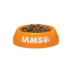 IAMS For Vitality Adult Cat Lamb & Chicken -Supplies Store iams adult lamb chicken 133727 1000 none