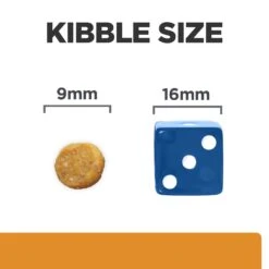 Hill's K/d + Mobility - Prescription Diet - Feline -Supplies Store k5r3oyzGBH1PEg5q0I5xEF0fakeGDz metaNTI3NDIwNDQ3NjdfNF9FTi5qcGc