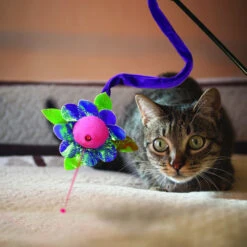 KONG Cat Laser Teaser -Supplies Store kong cat laser teaser 162427 1000 none