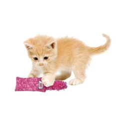 KONG Cat - Kitten Kickeroo -Supplies Store kong kat kitten kickeroo 163114 1000 none