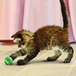KONG Cat - Tennis Balls 9 KONG Cat - Tennis Balls -Supplies Store kong kat tennis balls 162352 1000 none