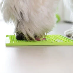 Trixie Lickimat Buddy -Supplies Store lickimat buddy 164194 2000 none