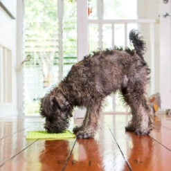 Trixie Lickimat Buddy -Supplies Store lickimat buddy 164197 2000 none