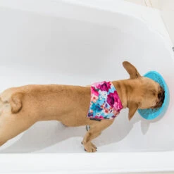 Designed By Lotte LickiMat Splash -Supplies Store lickimat splash 164212 2000 none