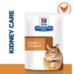 Hill's K/d + Mobility - Prescription Diet - Feline - Meal Pouch -Supplies Store mnA7REJNQvD7rm9NaoYH0MOAUhiwke metaNTI3NDIwMTE1NjFfMV9FTi5qcGc