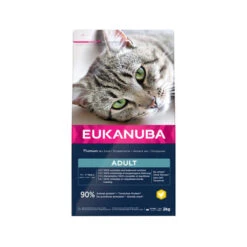 Eukanuba Cat Top Condition 1+ -Supplies Store mxPbXE9HwvP8jQFCgicCeTyMF8cj2K metaZXVrYW51YmFfY2F0X3RvcF9jb25kaXRpb25fMV8xOTczOTNfMDUwMF9ub25lLmpwZw 1 1