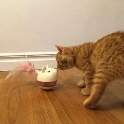 Ferribiella Nina Ottosson Hunt 'n Swat Tumbler -Supplies Store nina ottosson hunt n swat tumbler 180979 0500 none