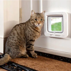 SureFlap Microchip Cat Flap -Supplies Store p3pvYfSbnZwTLFjS8xwjla4Ii09W1U metaU3VyZWZsYXAtU2ZlZXIuanBn