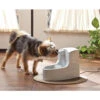 Petsafe Drinkwell Mini Drinking Fountain 2 Petsafe Drinkwell Mini Drinking Fountain -Supplies Store petsafe drinkwell mini drinkfontein 12 l 185812 1000 none