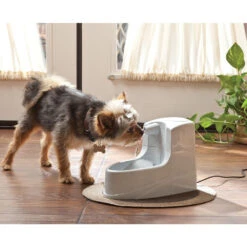 Petsafe Drinkwell Mini Drinking Fountain