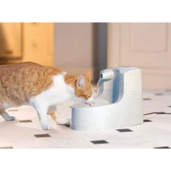 Petsafe Drinkwell Mini Drinking Fountain -Supplies Store petsafe drinkwell mini drinkfontein 12 l 185815 1000 none