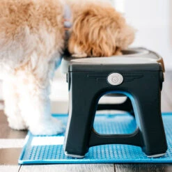 Popware Pet Bowl Grippmat -Supplies Store popware pet bowl grippmat 164719 2000 none