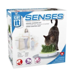 Catit Senses Grass Garden 11 Catit Senses Grass Garden -Supplies Store product catit senses grass garden none 4 1465980431 69888