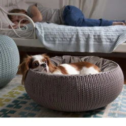 Curver Petlife Cozy Pet Bed -Supplies Store product curver petlife cozy pet bed none 4 1470230115 72682