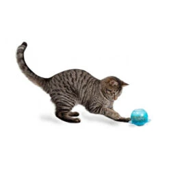 PetSafe Fishbowl Cat Toy -Supplies Store product petsafe fishbowl cat toy none 4 1460627452 67873