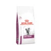 Royal Canin Early Renal Feline - Dry Food 2 Royal Canin Early Renal Feline - Dry Food -Supplies Store royal canin early renal kat 164731 1000 none