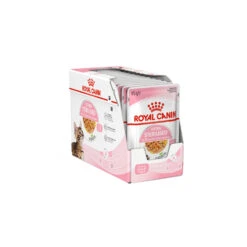 Royal Canin Kitten Sterilised In Jelly - Meal Sachet -Supplies Store royal canin kitten sterilised in jelly kattenvoer 201959 1500 none