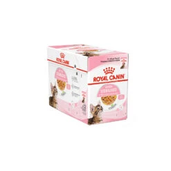 Royal Canin Kitten Sterilised In Jelly - Meal Sachet -Supplies Store royal canin kitten sterilised in jelly kattenvoer 201965 1500 none
