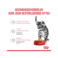 Royal Canin Kitten Sterilised In Jelly - Meal Sachet -Supplies Store royal canin kitten sterilised in jelly maaltijdzakje 207209 2000 none