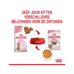 Royal Canin Kitten Sterilised In Jelly - Meal Sachet -Supplies Store royal canin kitten sterilised in jelly maaltijdzakje 207212 2000 none