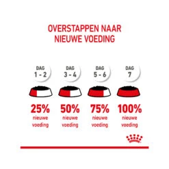 Royal Canin Kitten Sterilised In Jelly - Meal Sachet -Supplies Store royal canin kitten sterilised in jelly maaltijdzakje 207224 2000 none