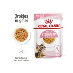 Royal Canin Kitten Sterilised In Jelly - Meal Sachet -Supplies Store royal canin kitten sterilised in jelly maaltijdzakje 207227 2000 none