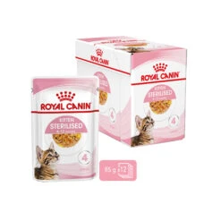 Royal Canin Kitten Sterilised In Jelly - Meal Sachet