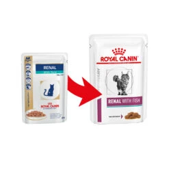 Royal Canin Renal Cat - Meal Pouch -Supplies Store royal canin renal kat 164563 1000 none