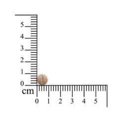 Sensipharm Sneeze Aid For Cats -Supplies Store sensipharm sneeze aid kat 174685 1000 none