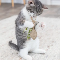 West Paw Trixie Cardboard Pinecone -Supplies Store trixie dennenappel karton 206510 1000 none