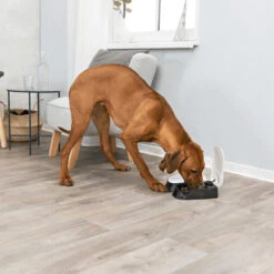 Trixie Automatic Pet Feeder TX2 -Supplies Store trixie dubbele voederautomaat tx2 170914 1000 none