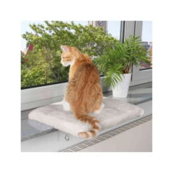 Trixie Sleeping Pad For Windowsill 7 Trixie Sleeping Pad For Windowsill -Supplies Store trixie ligplateau voor vensterbank 130469 2000 none