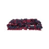 Trixie Snuffle Mat -Supplies Store trixie snuffelmat 179896 2000 none