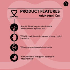 Vetality Adult - Cat Food -Supplies Store vetality adult kattenvoer 214739 2000 none