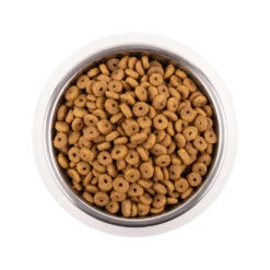 Vetality Adult - Cat Food -Supplies Store vetality adult kattenvoer 216505 1000 none