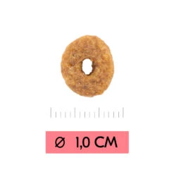 Vetality Adult - Cat Food -Supplies Store vetality adult kattenvoer 216506 1000 none