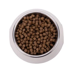 Vetality Hypoallergenic - Cat Food -Supplies Store vetality hypoallergenic kattenvoer 182047 2000 none