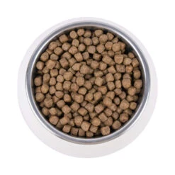 Vetality Hypoallergenic - Cat Food -Supplies Store vetality hypoallergenic kattenvoer 195266 1000 none