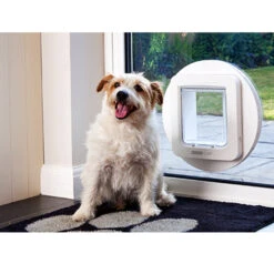 SureFlap Pet Flap Mounting Adapter -Supplies Store wT6cc4sTGylQtCh7sFY9DSyZwku4Pr metacHJvZHVjdF9zdXJlZmxhcF9tb250YWdlYWRhcHRlcl9odWlzZGllcmx1aWtfbWVkcGV0c180XzE0MjQ0MzczNDBfOTQ1OC5qcGc