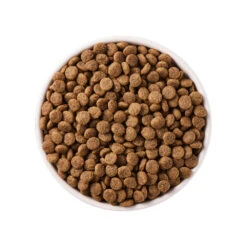 Yarrah - Dry Grain-Free Cat Food Bio -Supplies Store yarrah droogvoer kat graanvrij bio 188421 1000 none