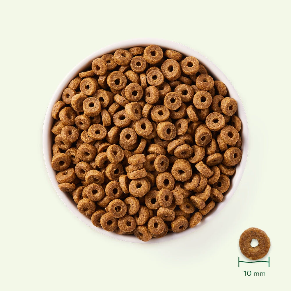 Yarrah - Dry Cat Food With Fish Bio 5 Yarrah - Dry Cat Food With Fish Bio - Image 3