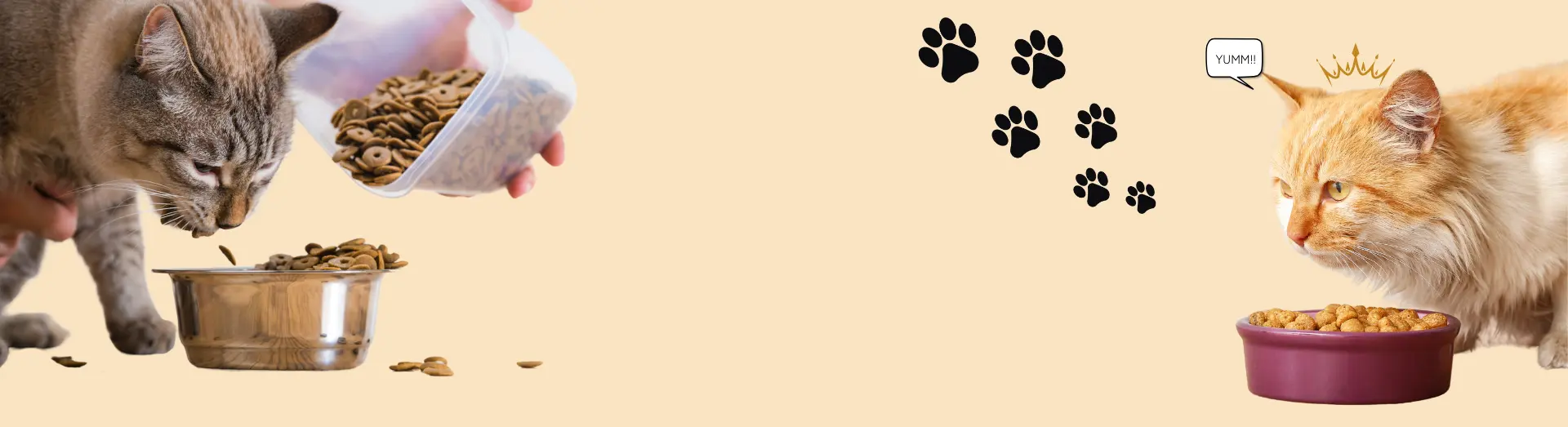 Supplies Store -Supplies Store Cat Food collection