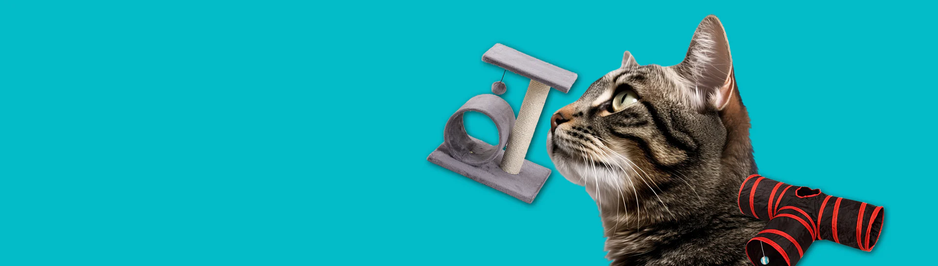 Supplies Store -Supplies Store cat banner bg 1